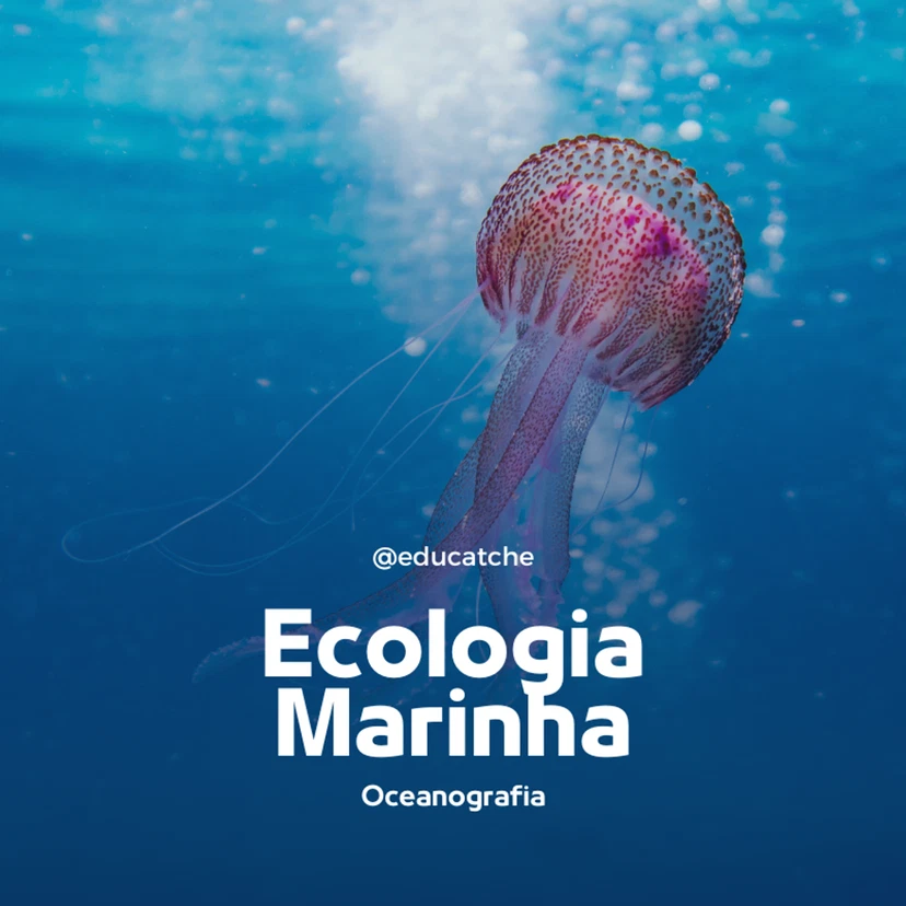Vida nas Águas: Ecologia Marinha em Tempos de Mudança Climática