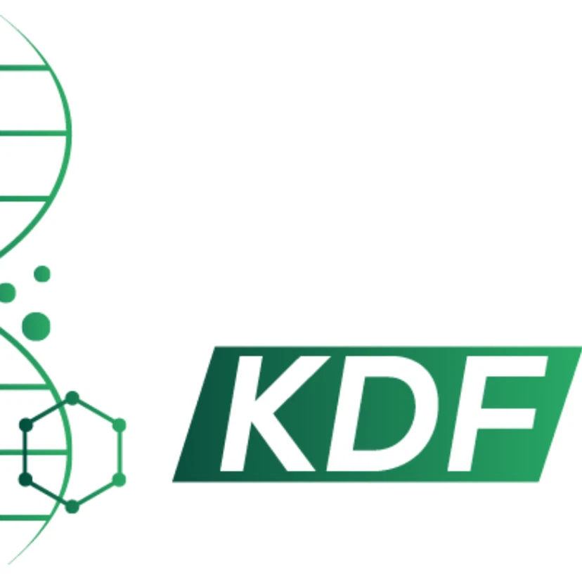 Bootcamp KDF
